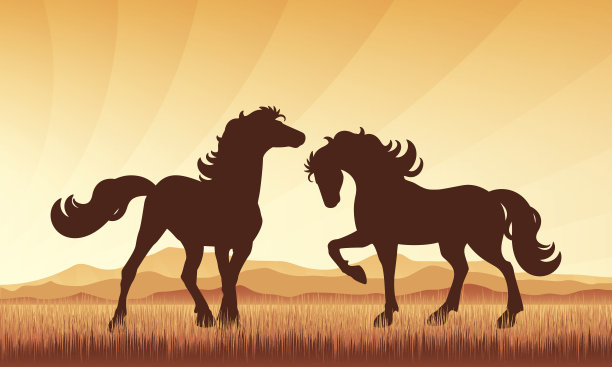 马在田野上的日落背景矢量剪影插图。图片下载