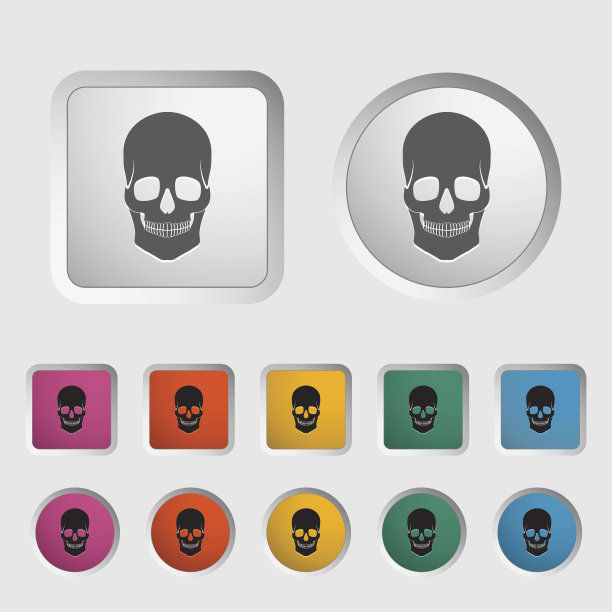 解剖头骨图片下载