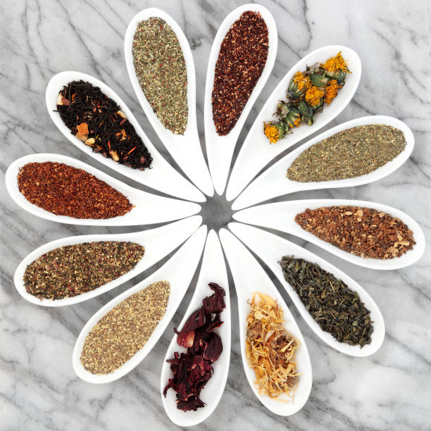 是草本植物图片下载