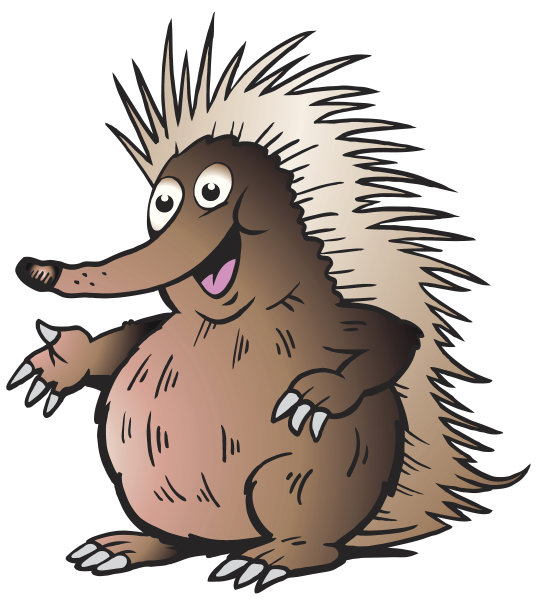 针鼹或刺猬的插图图片下载