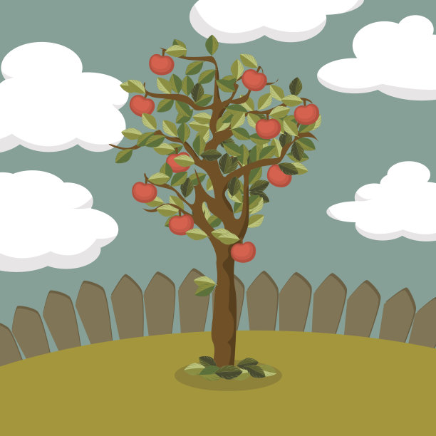 苹果树插图图片下载