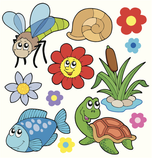 小动物收藏5图片下载