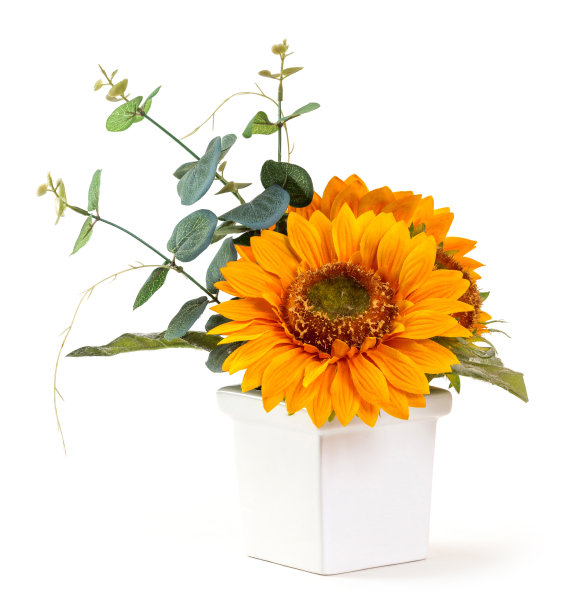 束向日葵图片下载