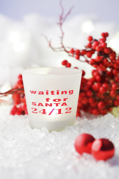 等待圣诞老人图片下载