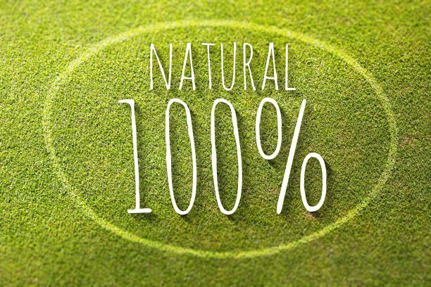 天然100%绿草海报插图环保的生活方式图片下载