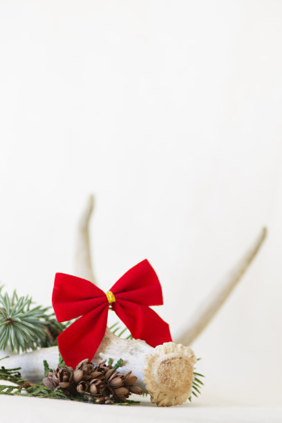 乡村圣诞垂直图片下载