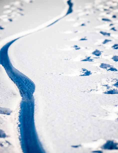雪地上的足迹和脚印图片下载
