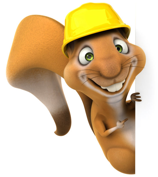 有趣的松鼠图片下载