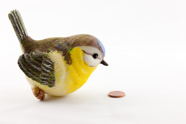 乳头和硬币图片下载