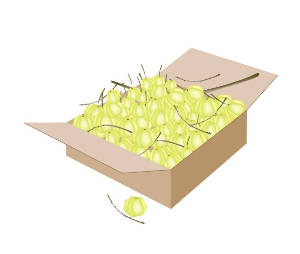 星醋栗水果在一个运输盒子图片下载