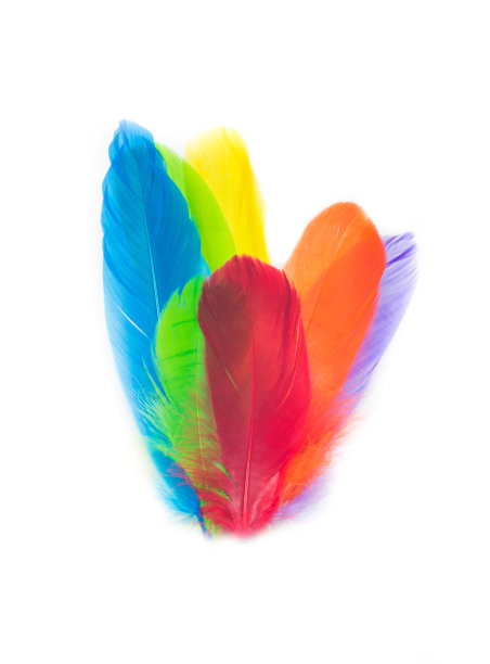 颜色的羽毛图片下载