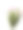 郁金香花束图片下载