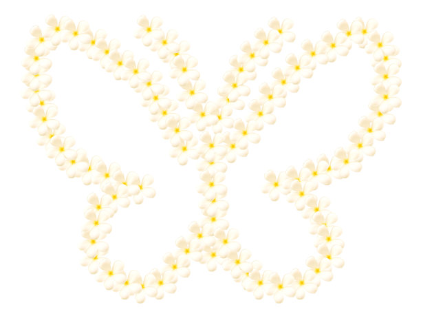 创建在白色背景上孤立的蝴蝶形状图片下载