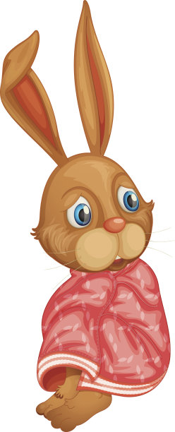 兔子图片下载