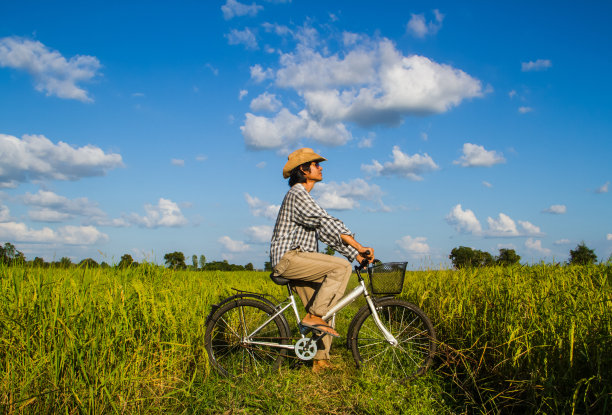 在稻田里骑自行车图片下载