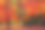 美丽的照片显示加拿大森林在秋天的颜色图片下载
