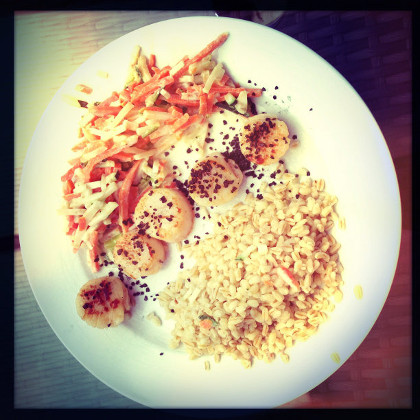 法国的圣雅克贝壳图片下载