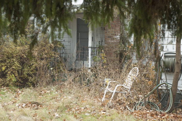 被遗忘的图片下载