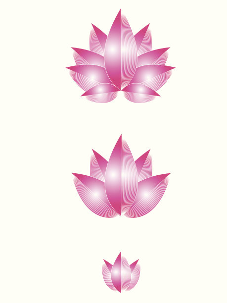 美丽的莲花。图片下载