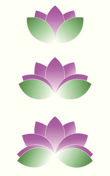 美丽的莲花。图片下载