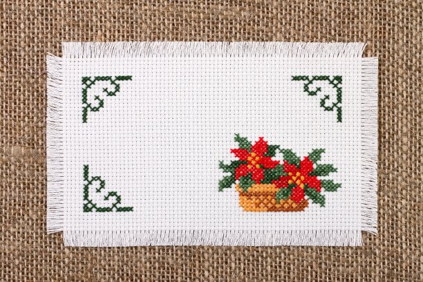 框架与花一品红图片下载