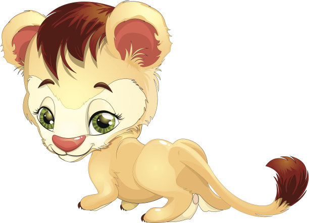 年轻的狮子素材图片