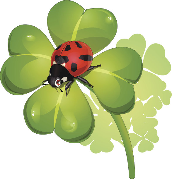 三叶草图片下载