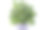 盆栽幼苗图片下载