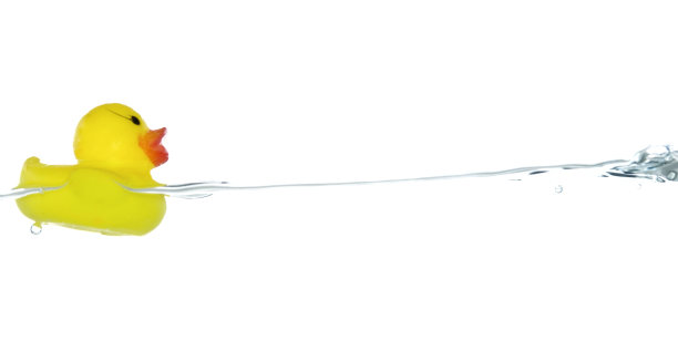 橡胶小鸭子图片下载