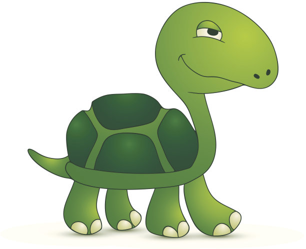 乌龟图片下载