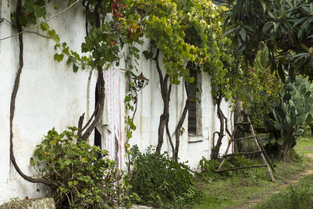 意大利乡村别墅立面图片下载