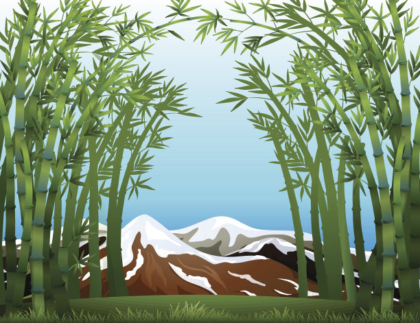 竹林和雪山图片下载