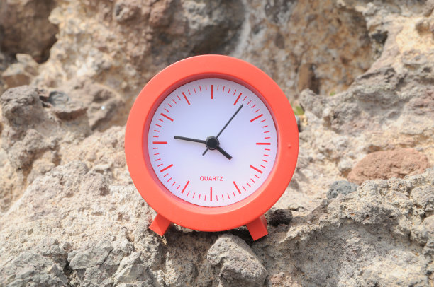 海边的红钟图片下载