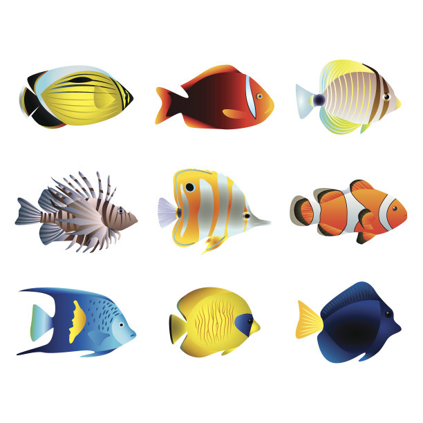 热带鱼向量集图片下载