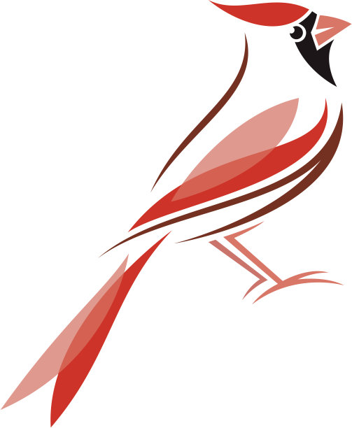 红衣主教图片下载