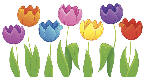 图像与郁金香花主题3图片下载