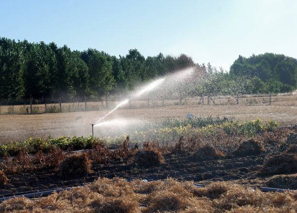 农田灌溉5图片下载