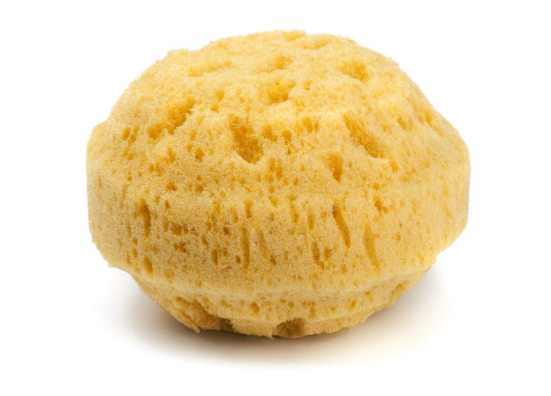 天然海绵图片下载