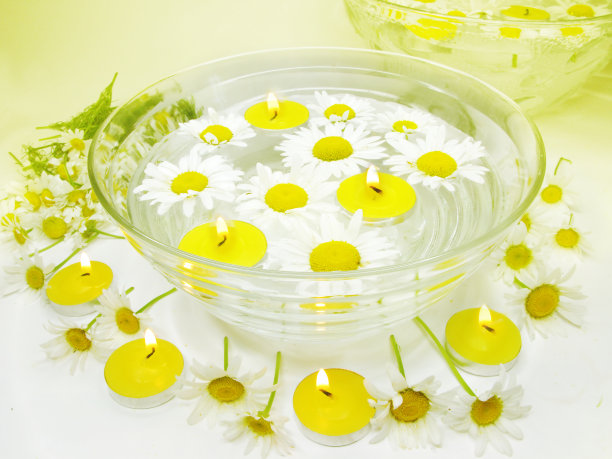 水疗蜡烛雏菊花图片下载