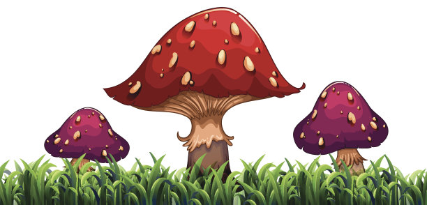 三个蘑菇图片下载