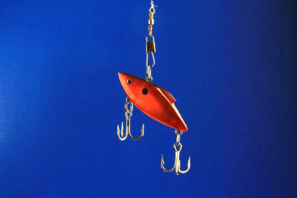 蓝色背景上的鱼饵图片下载