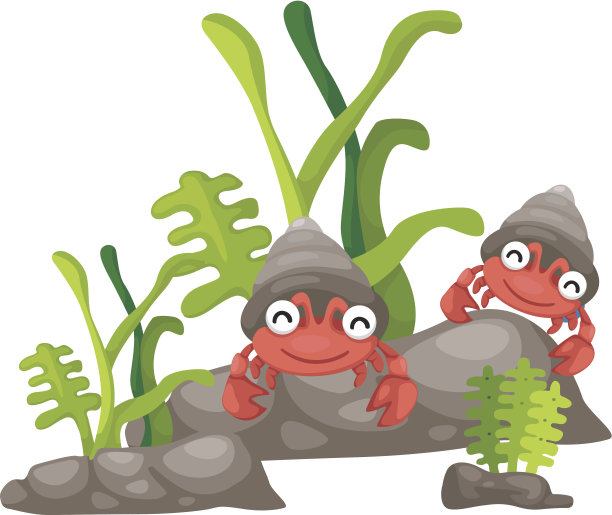 寄居蟹在水下图片下载