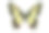 普通燕尾(Papilio machaon)图片下载
