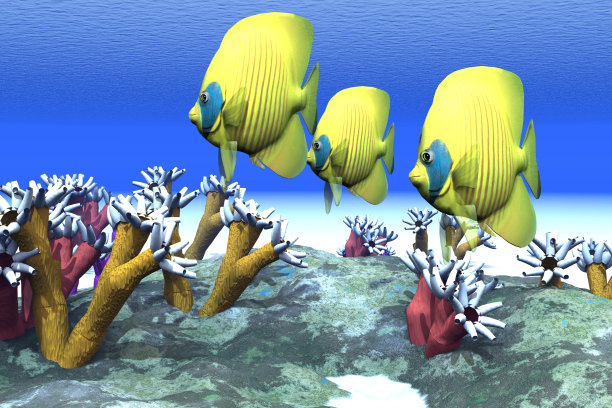 珊瑚的情绪图片下载