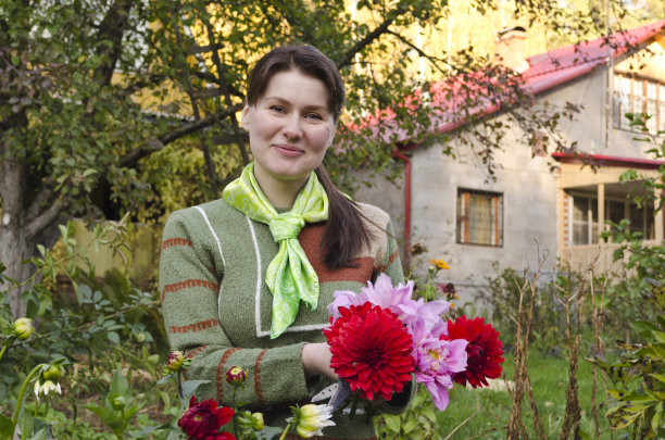 一个年轻女子在秋天的花园里割大丽花。图片下载
