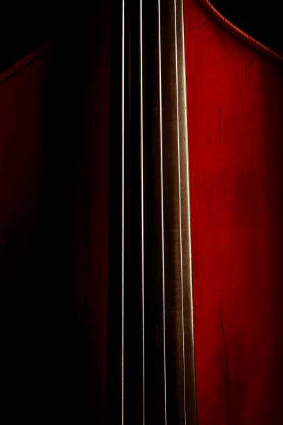 的低音提琴图片下载