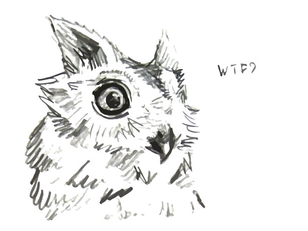 股票矢量手绘猫头鹰插图图片下载