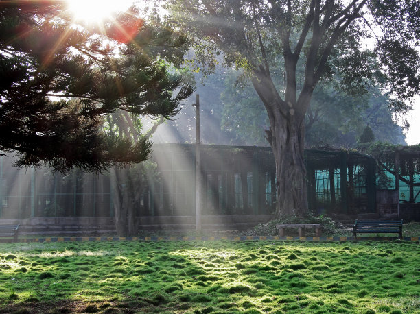 迷雾清晨的阳光素材图片