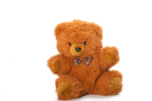 泰迪熊被孤立在白色的背景上图片下载