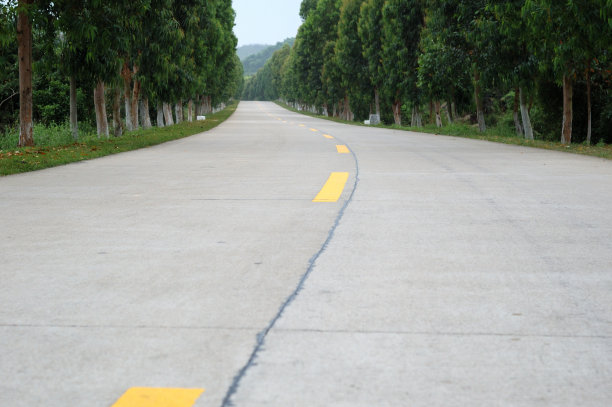 这条路图片下载